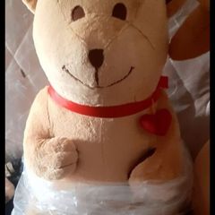 New teddy bear