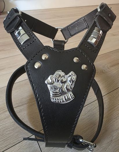 dog leather harness with free chain lead