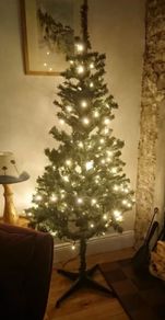 Free To Take Away - 6 Foot Christmas Tree