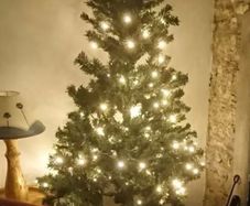 Free To Take Away - 6 Foot Christmas Tree