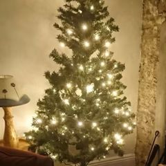 Free To Take Away - 6 Foot Christmas Tree