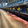 ADF Milking Systems | Lower SCC Risk & Save Labour Image 7