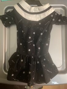 New Dog Dress