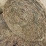 Hay bales Image 2