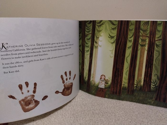 The Tree Lady Story Book