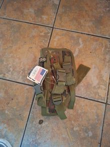 holster