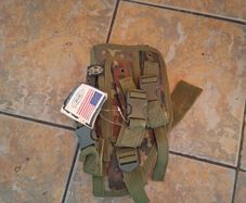 holster