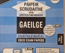 Irish Exam papers