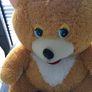 Huge teddy  Bear , good condition Image 2
