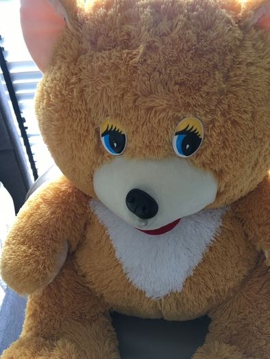 Huge teddy  Bear , good condition