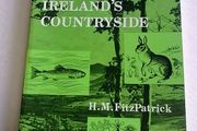 Ireland's countryside