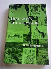 Ireland's countryside