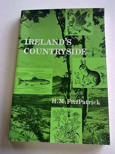 Ireland's countryside
