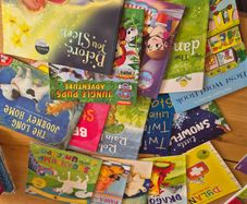 Childrens books bundle