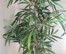 Vintage faux plants
