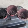 6 plastic flower pots Image 3