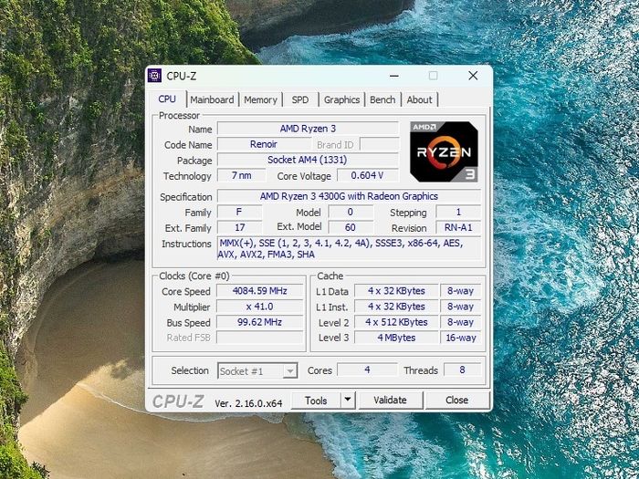 AMD Ryzen 3 4300G 16GB RAM 24" LCD 512GB NVMe Win 11 Office Pro 24 Wifi Bluetooth