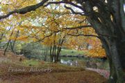 Mounted Original Photography - Ballinrush Autumn, Kerry