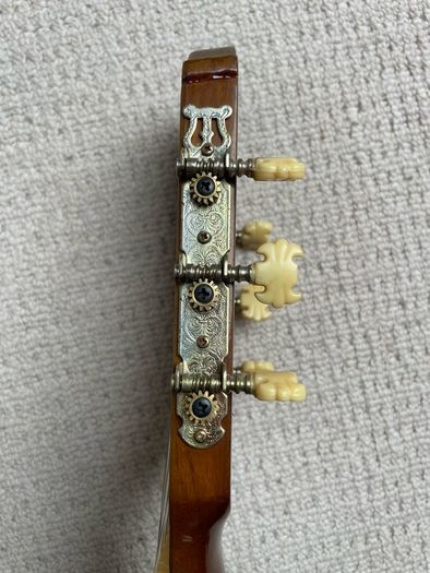 Guitar - Lenora