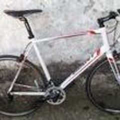 Giant Defy XL