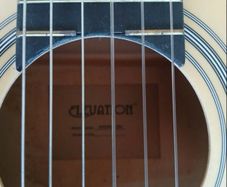 Elevation Acoustic Guitar