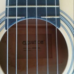 Elevation Acoustic Guitar