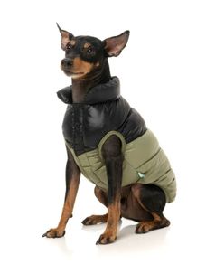 dog coat Fuzzyyard new with tags