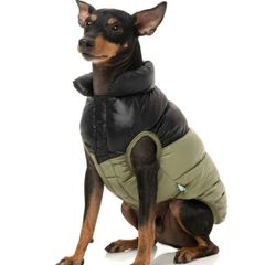 dog coat Fuzzyyard new with tags