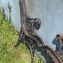 Pair of decorative cast  iron bench ends Image 9