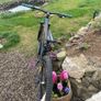 bikes Image 3