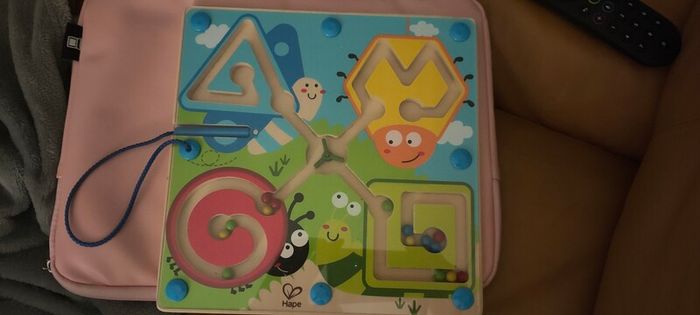 Best Bugs Magnetic Maze