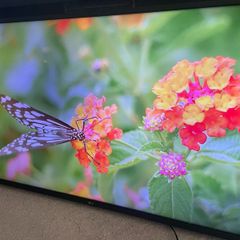 50" LG Ultra HD 4k smart tv