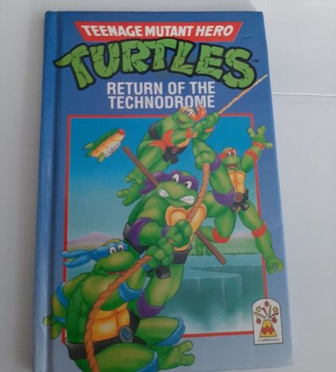 Vintage teenage ninga turtles 1990  book