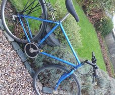 raleigh pioneer