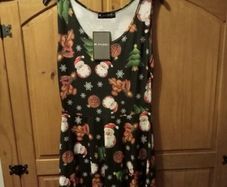 ladies new Xmas dress size 10