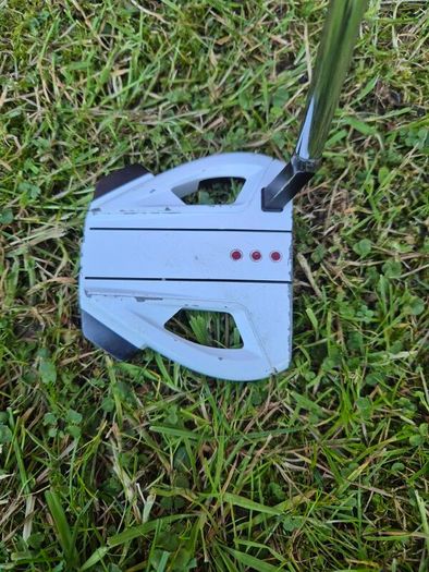 Taylormade Spider EX