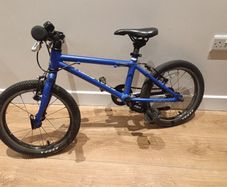 Raleigh 16 inch