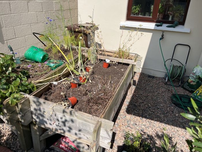Veg Trough 65x155cms