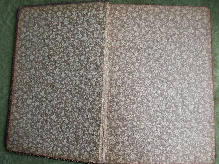 Vintage Poems By Elizabeth Barrett Browning 1844