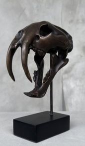 Sabre-Tooth Tiger Skull  - Bronze, Metal Stand, Signed