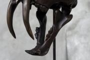 Sabre-Tooth Tiger Skull  - Bronze, Metal Stand, Signed