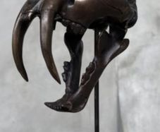Sabre-Tooth Tiger Skull  - Bronze, Metal Stand, Signed