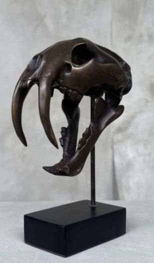 Sabre-Tooth Tiger Skull  - Bronze, Metal Stand, Signed