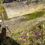 Large Trough Image 2