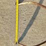 Red pricket antlers Image 4