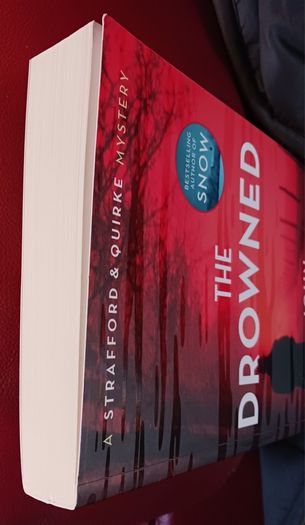 John Banville / The Drowned / 2024/ 1st edition paperback