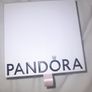 Pandora charm bracelet 17cm Image 10