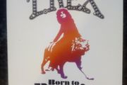 Marc Bolan And T Rex - Born To Boogie 70's Glam Rock (DVD, 2005, Special Edition, 2-Disc Set)