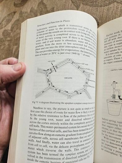 The Working Plant. By D.a. Coult. 1977 Paperback In Good Condition. See Photos For Same.