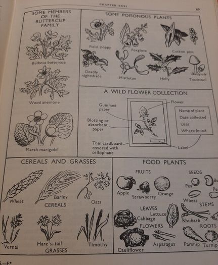 vintage science school book from 60's